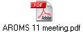 AROMS 11 meeting.pdf